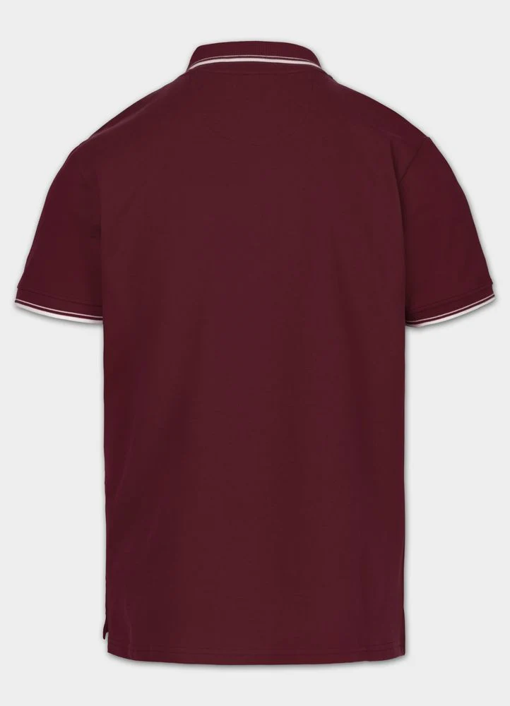 Koszulka Polo Pique STRIPES REGULAR - Image 3
